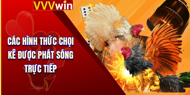 Các hình thức chọi kê được phát sóng trực tiếp