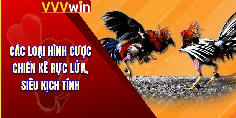Đá Gà VVVWin 3 Các loại hình cược chiến kê rực lửa, siêu kịch tính