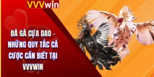 Đá Gà Cựa Dao