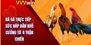 Đá Gà Trực Tiếp