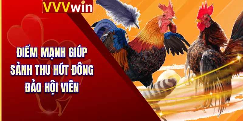 Đá Gà VVVWin 2 Điểm mạnh giúp sảnh thu hút đông đảo hội viên