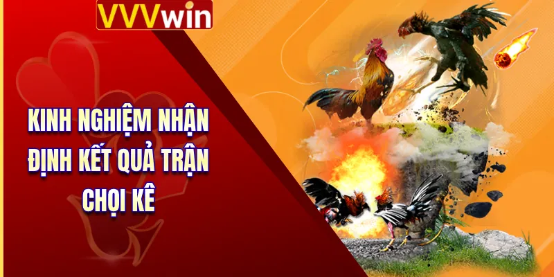 Kinh nghiệm nhận định kết quả trận chọi kê