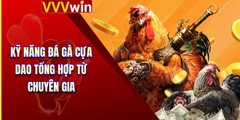 Kỹ năng đá gà cựa dao tổng hợp từ chuyên gia