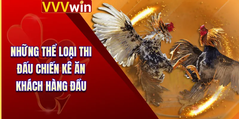 Đá Gà VVVWin 4 Những thể loại thi đấu chiến kê ăn khách hàng đầu