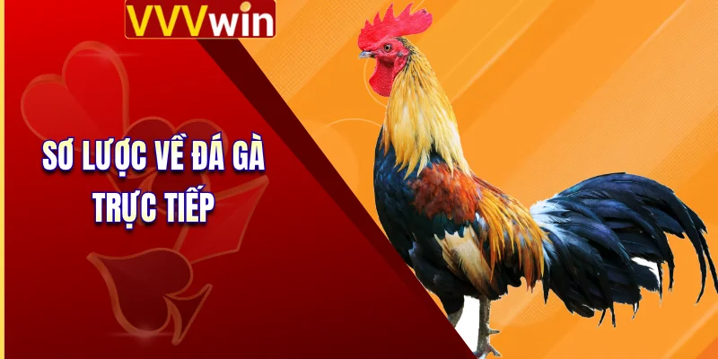 Sơ lược về đá gà trực tiếp