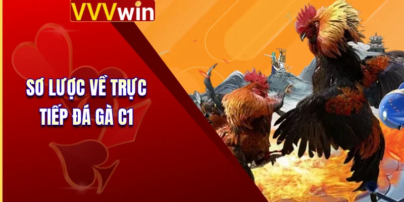 Sơ lược về trực tiếp đá gà C1